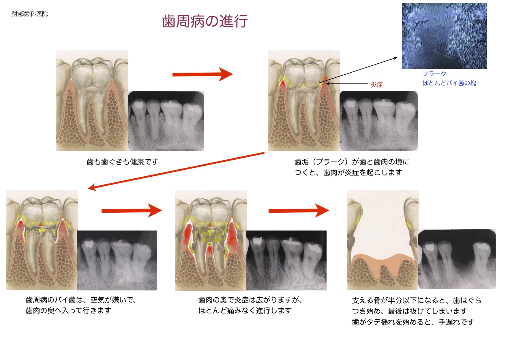 財部歯科医院